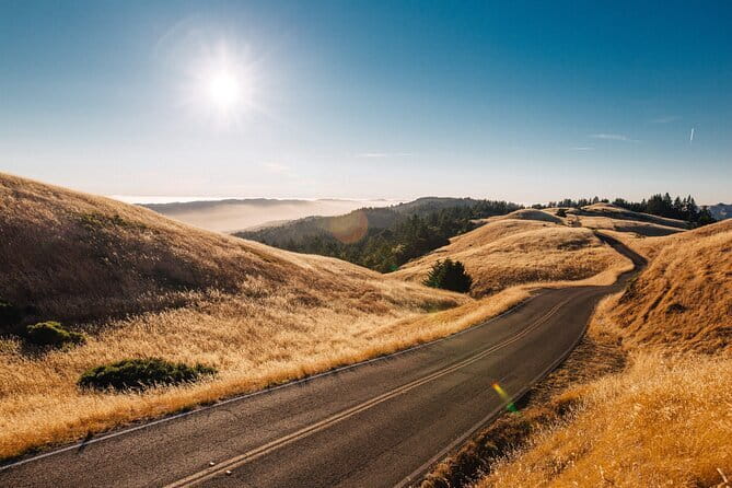 Private Day Tour from Florence to Pisa, Chianti and San Gimignano - Chianti wine road drive on Strada Statale 222 Chiantigiana