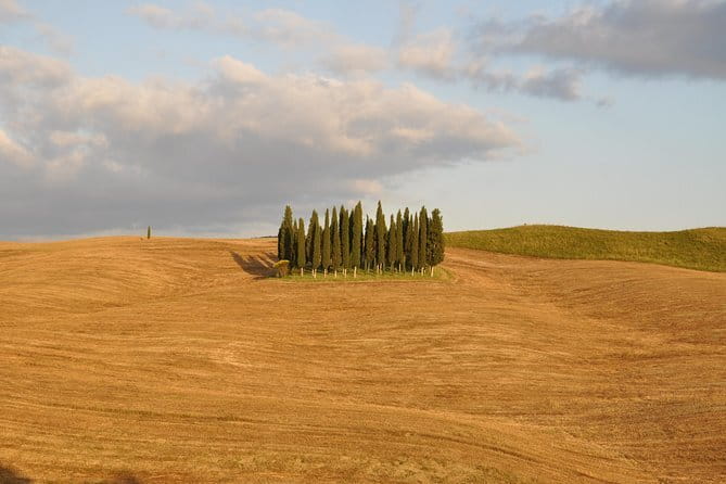 Private Day Trip to Montalcino and Montepulciano from Florence - The drive between towns is part of the experience