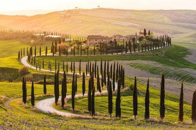 Private Day Trip Tuscany Landscape and Wine Tasting from Florence - Key highlights to know before you go
