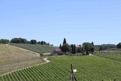 Private daytrip to Siena & Chianti wine country, with wine tasting from Florence - Fattoria di Montecchio winery tasting: Chianti, Riserva, Super Tuscans, plus olive oil