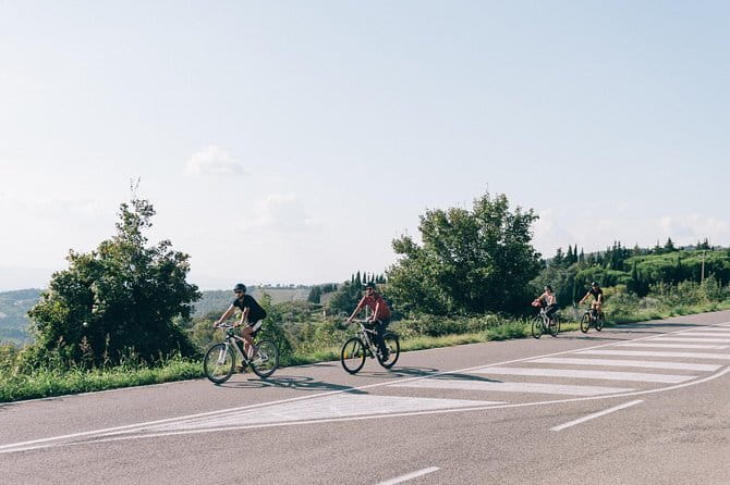 Private E-bike Tour in Chianti from Florence - Tuscan lunch and wine tasting: more than one quick stop
