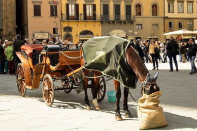 Private Florence Tour: 3-Hour Walking Tour with a Licenced Guide - Officina Profumo Farmaceutica: Smell the Past, Not Just See It