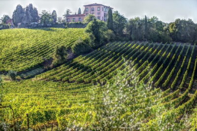 PRIVATE Full-Day Wine Experience in Chianti Classico. - Castello di Montefioralle: 79 residents and narrow stone lanes