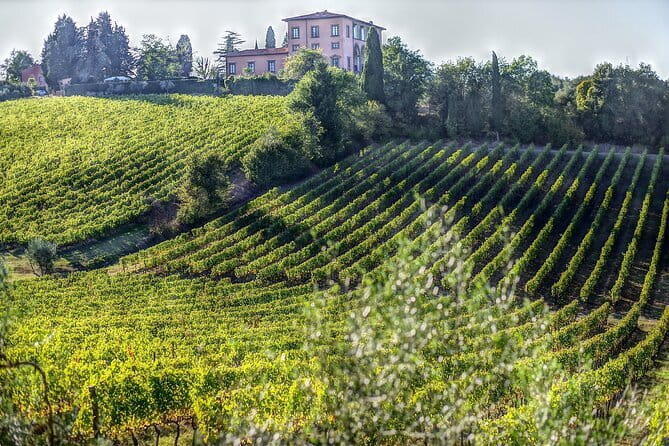 PRIVATE Full-Day Wine Experience in Chianti Classico. - Castello di Montefioralle: 79 residents and narrow stone lanes