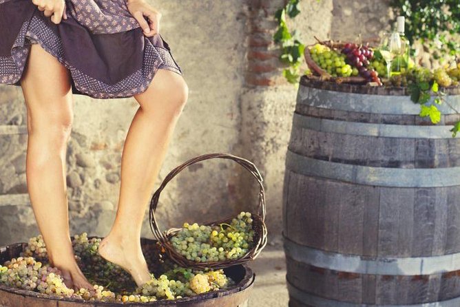Private Grape stomping in Chianti from Florence - What Makes This Chianti Grape Stomping Feel Different From Typical Tours