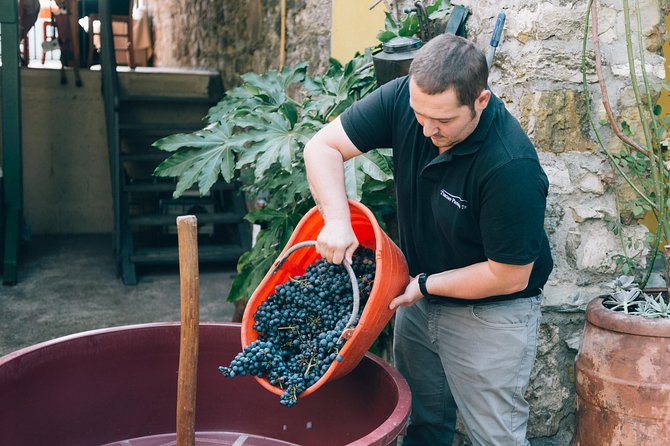 Private Grape stomping in Chianti from Florence - Castellina in Chianti and Medieval Free Time: Use It Wisely