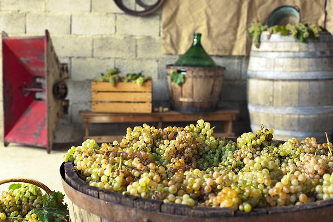 Private Grape stomping in Chianti from Florence - Price and Value: Does $473+ Make Sense for You?