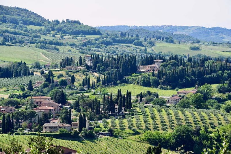 Private Hiking Florence Tour with Wine and Lunch or semi-pri - Leonardo da Vinci’s square: the peak moment