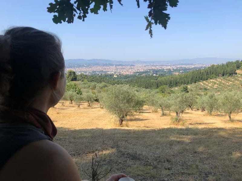 Private Hiking Florence Tour with Wine and Lunch or semi-pri - Who should book this hike—and who should skip it