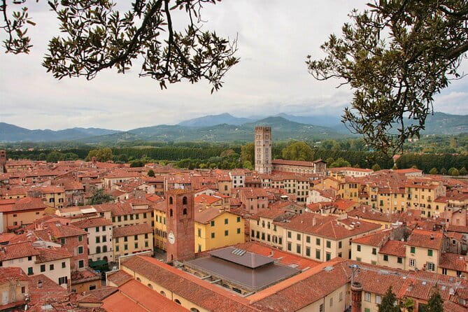 Private Pisa and Lucca Tour from Florence with Transportation - Pisa Stop: Piazza dei Miracoli and the Leaning Tower Photo Window