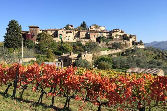 Private Siena, S. Gimignano, Chianti Road and Wine Tasting - Key highlights at a glance