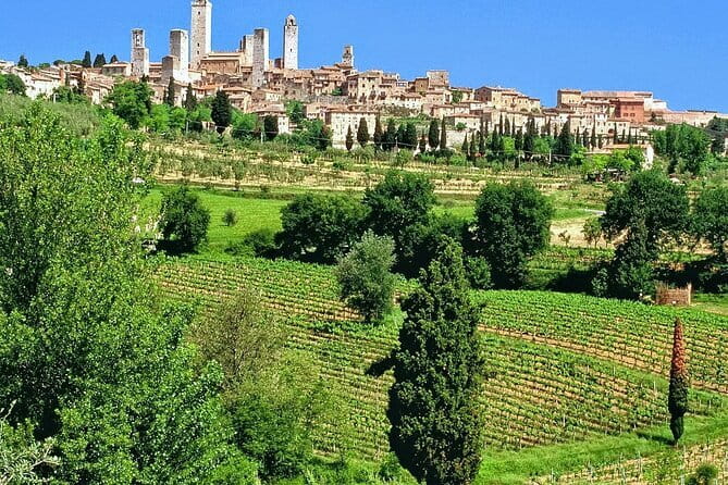 Private Siena, S. Gimignano, Chianti Road and Wine Tasting - Chianti on Strada Statale 222: The Drive That Sets the Tone
