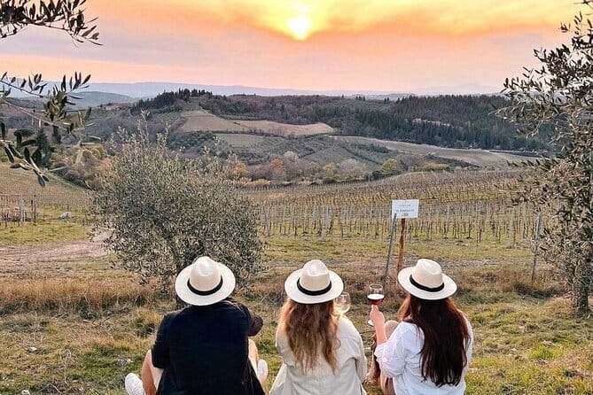 Private Siena, S. Gimignano, Chianti Road and Wine Tasting - Pace and Comfort: How to Make an 8 to 9 Hour Day Feel Good