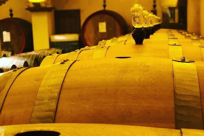 Private Top Brunello Montalcino Wine Tour & Food Pairing Session - What You’re Really Buying: Three Tastings Plus a Pairing Lunch