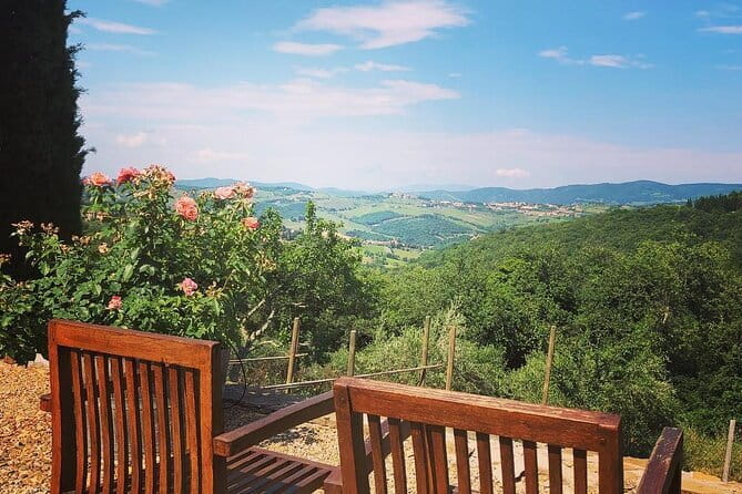 Private Top Brunello Montalcino Wine Tour & Food Pairing Session - Pickup and the Mercedes Ride: Tuscany Without the Stress