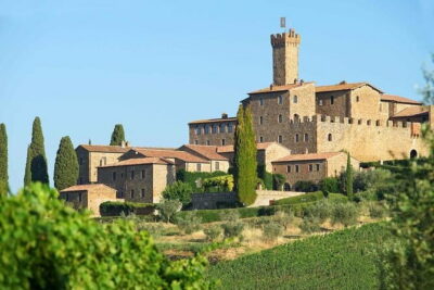 Private Tour and Wine Tasting at Castle-Wineries in Chianti from Florence - Stop 1 in the First Winery: Settling Into the Chianti Mood