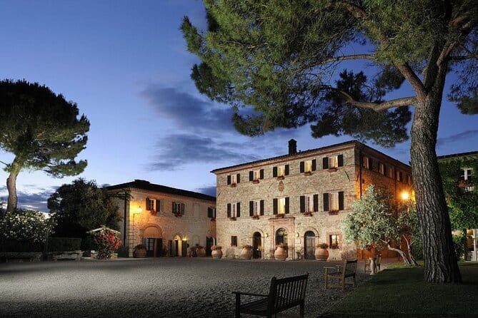 Private Tour and Wine Tasting at Castle-Wineries in Chianti from Florence - Gaiole in Chianti: Chianti Classico Revival, Art Around the Property, and an Enoteca Tasting