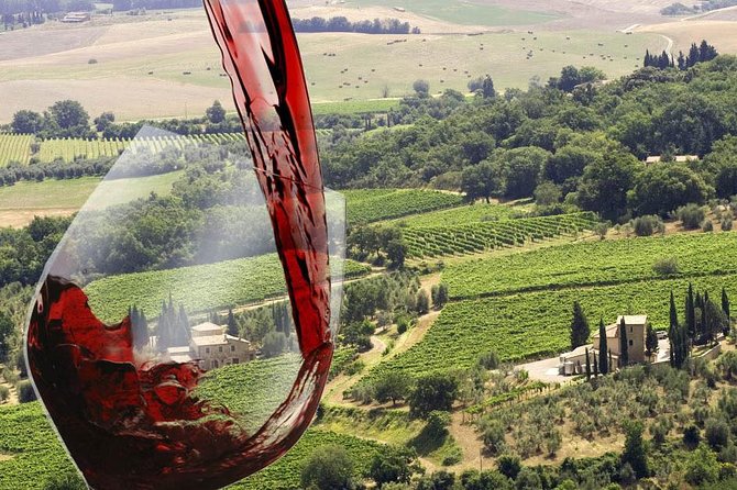 Private tour Brunello di Montalcino and Nobile di Montepulciano wine experience in Tuscany - Private Brunello and Nobile From Florence: The Big Picture