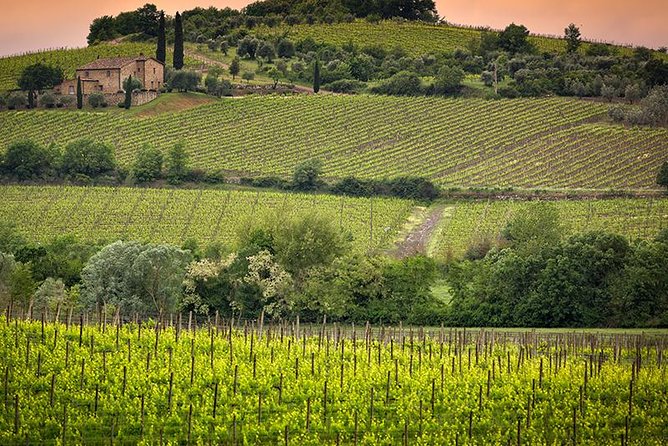 Private tour Brunello di Montalcino and Nobile di Montepulciano wine experience in Tuscany - Meet at Piazza Adua, Start at 8:30, and Use the Day Well
