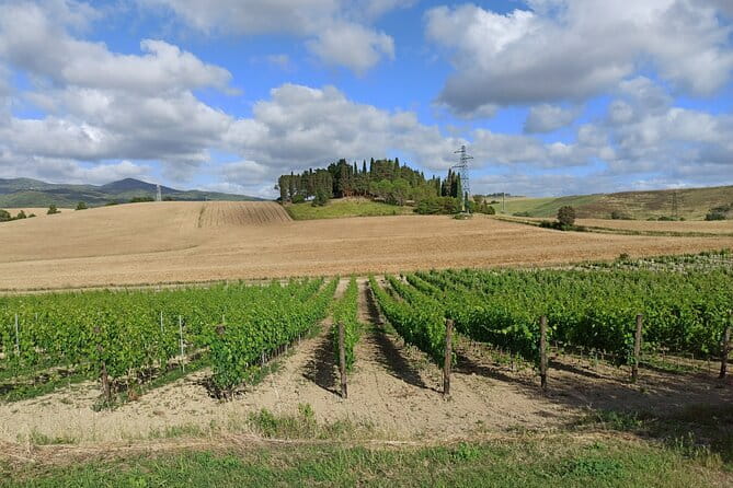 PRIVATE TOUR: Chianti Afternoon tour with visit to 2 wine farms - Via Chiantigiana: where the scenery does the talking