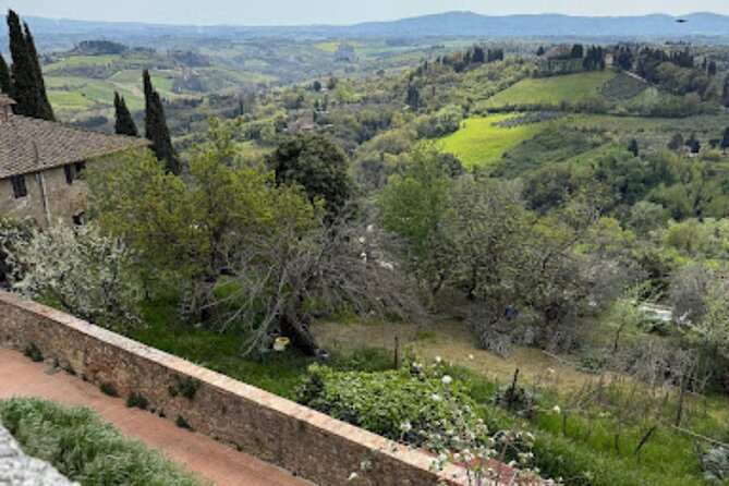 Private Tour- Chianti By Minivan At Sunset - Private Chianti at sunset: less driving stress, more Tuscany time