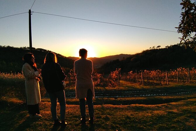 Private Tour- Chianti By Minivan At Sunset - Optional Tuscan dinner upgrade: more of an evening, and a sweet finish