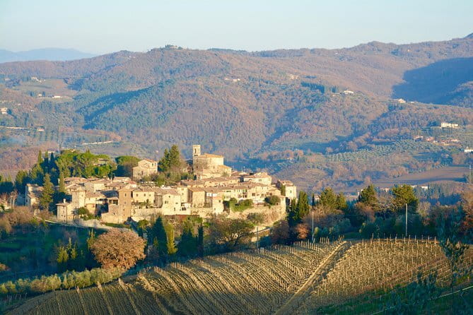 Private Tour: Chianti Region Tour by Minivan - The best parts in practice