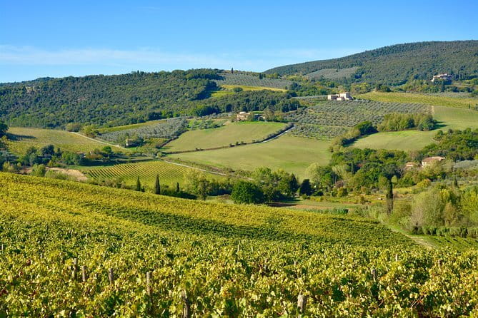 Private Tour: Chianti Region Tour by Minivan - Chianti without the driving headache from Florence