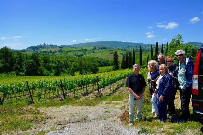Private Tour: Chianti Region Tour by Minivan - Winery time is optional, and you can steer it