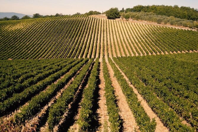 Private Tour: Chianti Winery, Montefioralle, and Greve in Chianti - Why This Half-Day Chianti Run Works From Florence