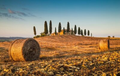 Private Tour From Florence to Cortona and Montepulciano - The 11:30AM turn: a light lunch at a family winery
