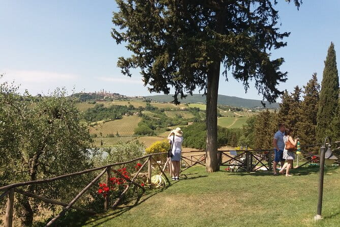 Private Tour in San Gimignano and Chianti Day Trip from Florence - San Gimignano’s medieval lanes and gelato mission