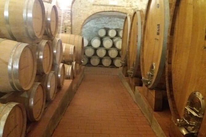 Private Tour in San Gimignano and Chianti Day Trip from Florence - Who this Chianti day trip is best for (and who may prefer something else)