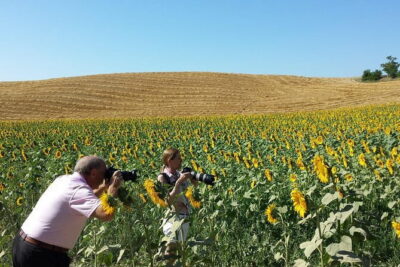 Private Tour: Orcia Valley to Montalcino and Montepulciano with Brunello Wine Tasting - Montepulciano and Piazza Grande: Nobile di Montepulciano country
