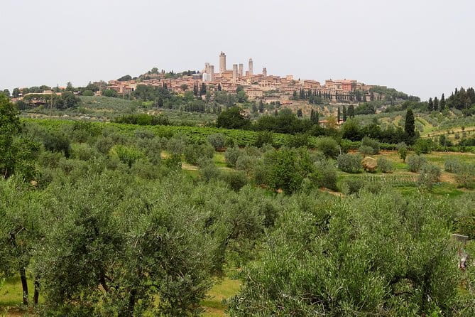 Private Tour to Siena and San Gimignano with Wine Tasting & Lunch - Key Highlights at a Glance