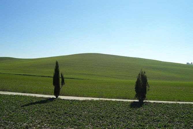 Private Tour to Siena and San Gimignano with Wine Tasting & Lunch - Private Day From Florence: Pickup, Timing, and Comfort
