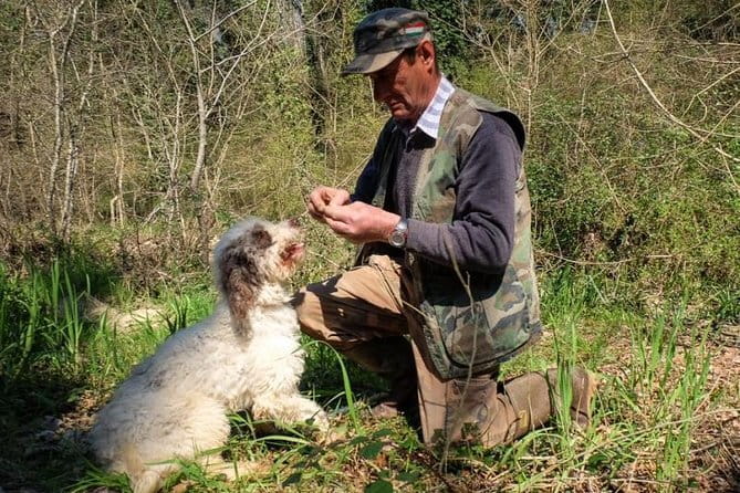 Private Truffle Hunting in Chianti from Florence - Key highlights worth clocking