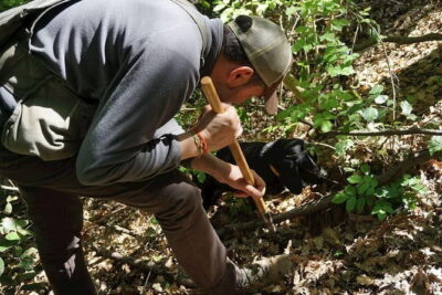 Private Truffle Hunting in Chianti from Florence - The truffle hunt: hunter-led, dog-supported, and surprisingly active