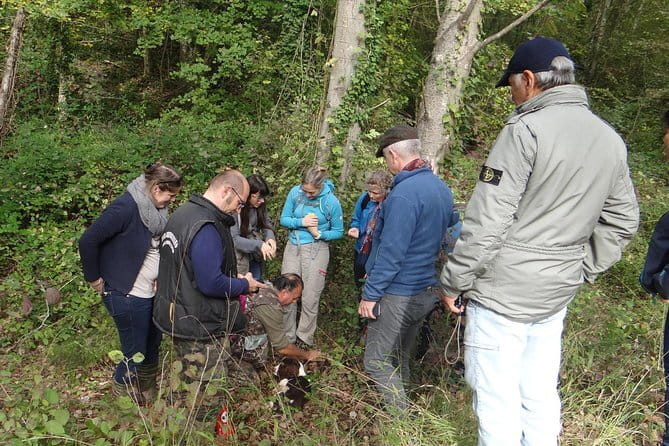 Private Truffle Hunting in Chianti from Florence - Lunch at the winery: truffle-forward plates plus wine pairing