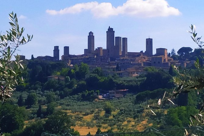 Private Tuscan Cooking Class And Wine Tasting in Radda in Chianti - Value check: is $166 per person worth it?
