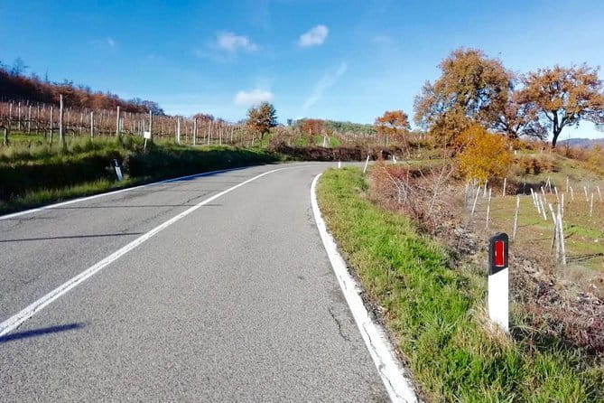 Private Tuscany Cycling Tour from Florence - Price and what you’re really paying for