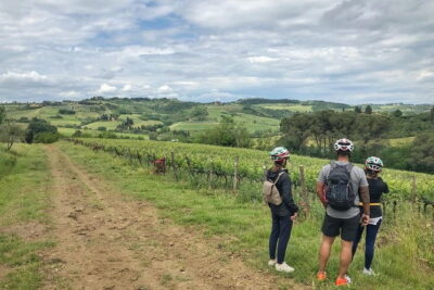 Private Tuscany Sunset Bike Tour - Pedal Through Vineyards and Olive Groves at Sunset Hour