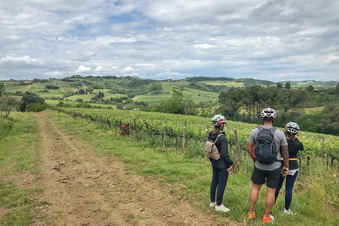 Private Tuscany Sunset Bike Tour - Pedal Through Vineyards and Olive Groves at Sunset Hour