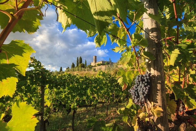 Private Tuscany Tour from Florence Including Siena, San Gimignano and Chianti Wine Region - Key Highlights Worth Getting Excited About