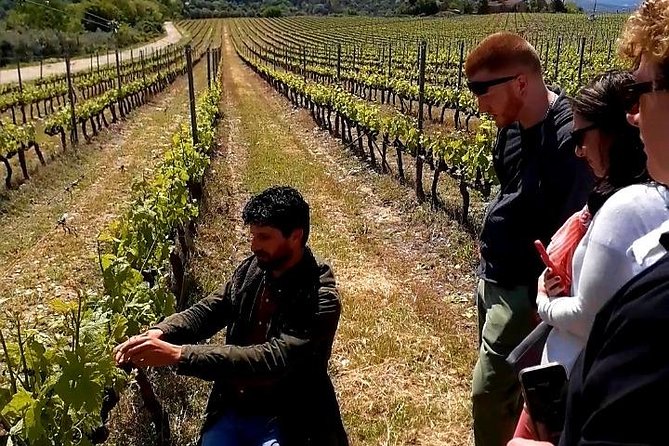 Private Wine Safari! Off-Road, Lunch in Winery in Tuscany! - Who should book this Tuscany Wine Safari, and who should think twice