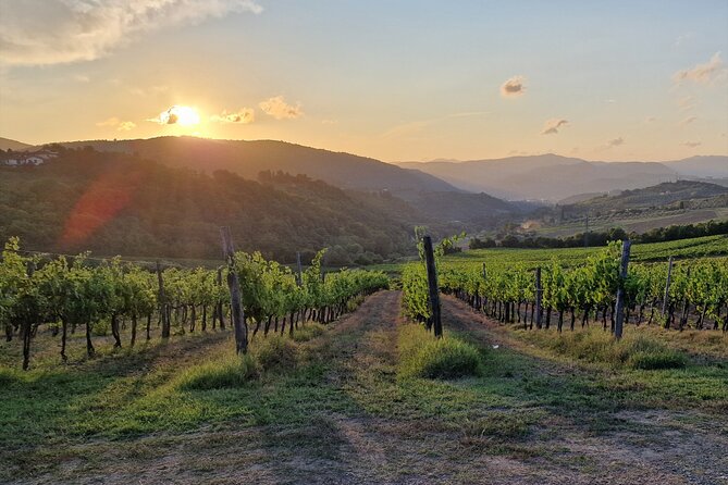 Private Wine Tour best of Chianti Tuscany 6 hours Limo Service - Private limo service from Florence: why it works on the Chianti Road