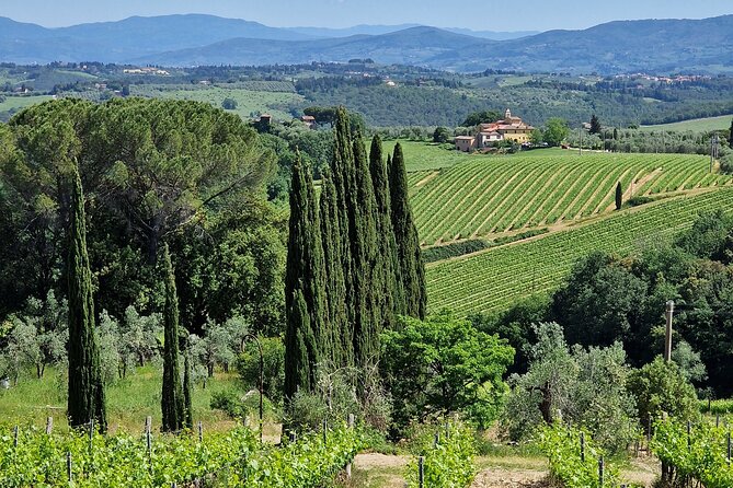 Private Wine Tour best of Chianti Tuscany 6 hours Limo Service - Antinori nel Chianti Classico: short visit with a wine bar choice
