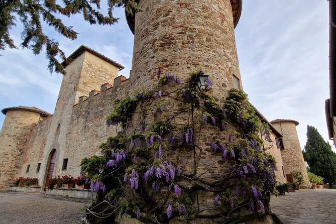 Private Wine Tour best of Chianti Tuscany 6 hours Limo Service - What you pay for: interpreting the $806.68 group price and the €70 add-on