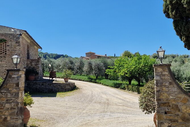 Private Wine Tour best of Chianti Tuscany 6 hours Limo Service - Practical tips for a smoother day in Chianti