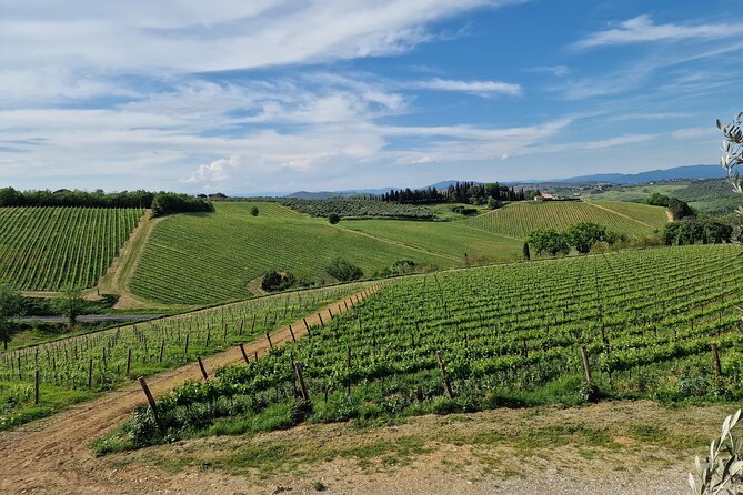 Private Wine Tour best of Chianti Tuscany 6 hours Limo Service - The 6-hour timing: what the day feels like hour by hour